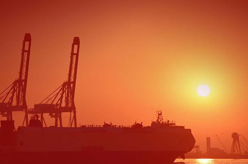 <b>“两个确立”为党和国家事业发展提供根本保证</b>