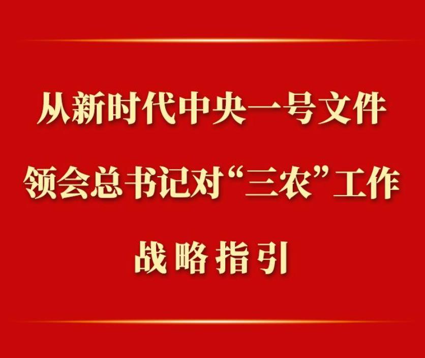 <b>第一观察丨从新时代中央一号文件领会总书记对“三农”工作战略指引</b>