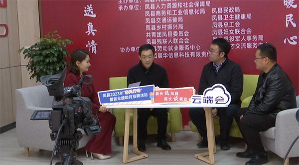 稳就业 促民生 直播带岗 供需两旺——凤县这场活动热火朝天