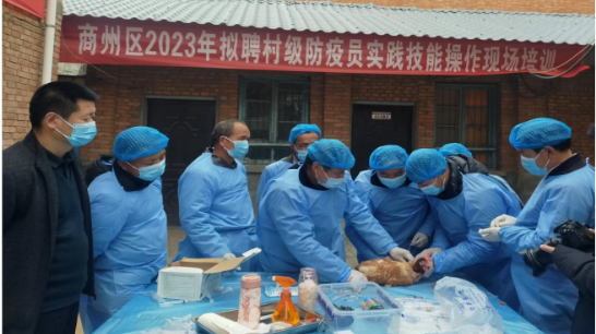 <b>商洛市商州区集中培训村级动物防疫员 提高防疫人员技术水平</b>