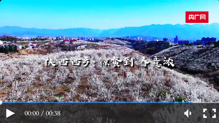 <b>春日里的中国丨陕西西乡：万亩樱桃开 特色产业助力乡村变富变美</b>