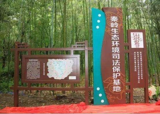 以司法之力绘就秦岭美丽画卷 陕西法院全力守护秦岭生态环境安全