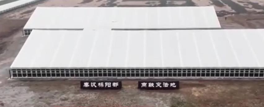 <b>最新发现！秦汉栎阳城三号建筑初步判断为商鞅变法时期君臣议政重要场所</b>