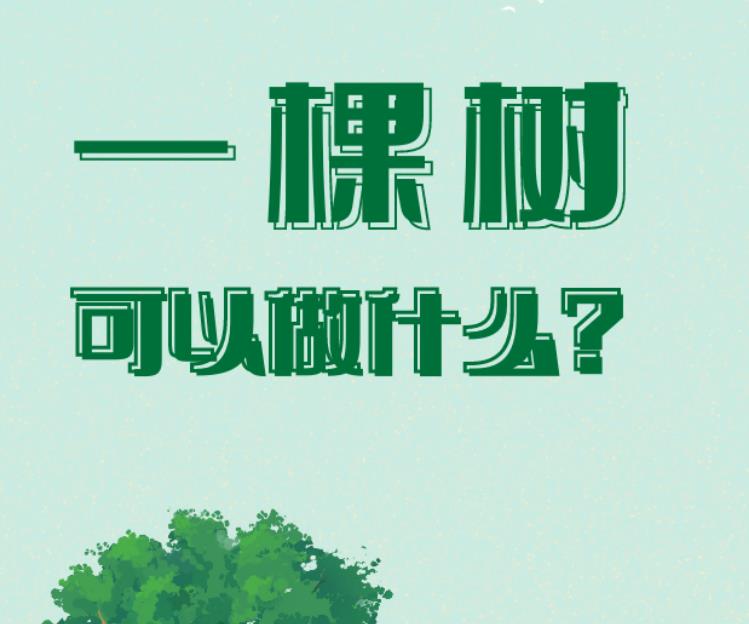 <b>植树节｜一棵树可以做什么?</b>