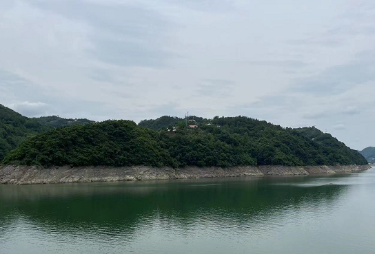 <b>2022年陕西完成营造林703.43万亩！治理沙化土地94万亩</b>