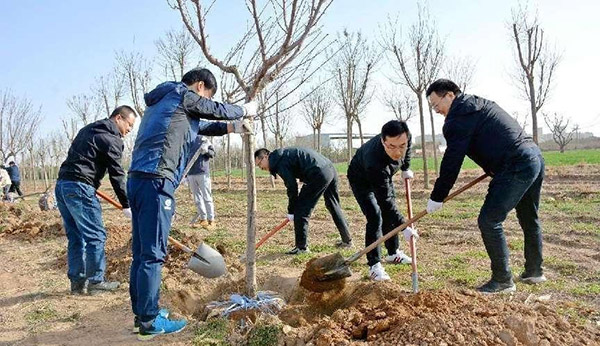 秦汉新城：人勤春来早 植绿正当时