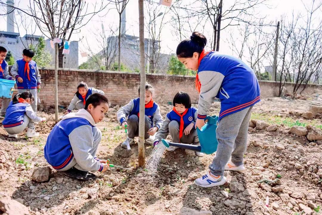 <b>植树添绿正当时 西安经开区各企业党员志愿者在行动</b>