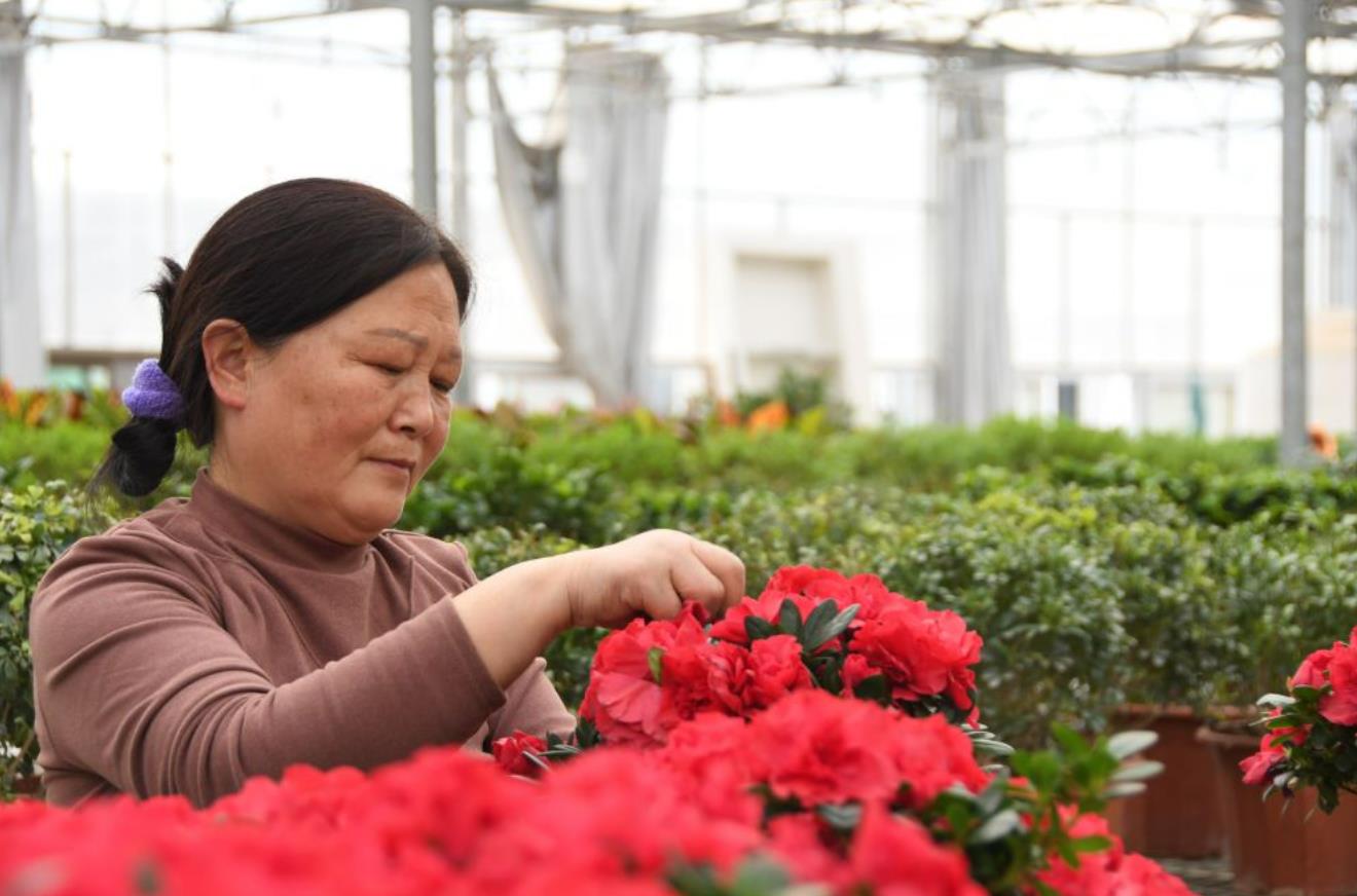 <b>农业经纪人、市场分析员、植物造型师……秦岭村庄有了这些新职业</b>