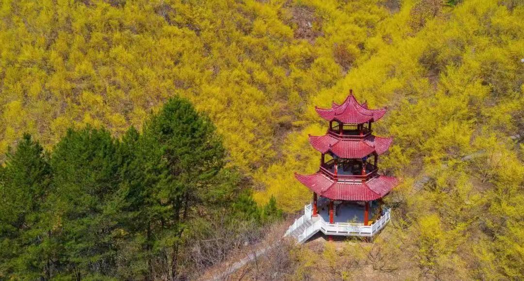 <b>2023中国最美油菜花海汉中旅游文化节佛坪分会场活动启动 邀您徜徉茱萸花海</b>