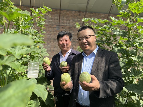 <b>榆林市榆阳区西左界村获评全国“一村一品”示范村镇</b>