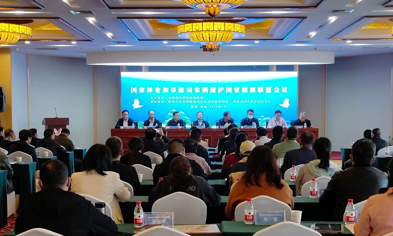 <b>国内专家汇聚汉中市洋县 共商朱鹮保护大计</b>
