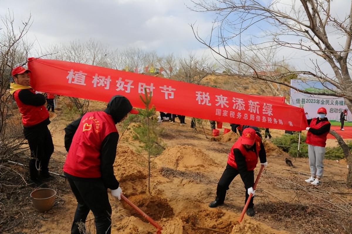 <b>植树好时节 税来添新绿——国家税务总局佳县税务局参加义务植树活动</b>