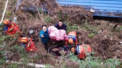 汉中90岁老人独自步行山路 不慎滚下山坡