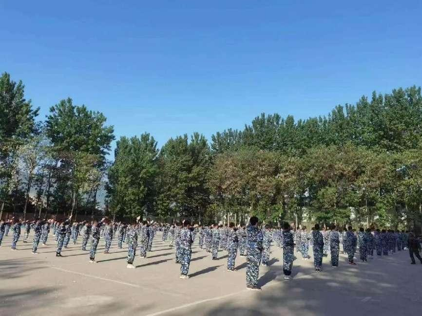 社会综合实践活动让景龙少年更智更强更独立