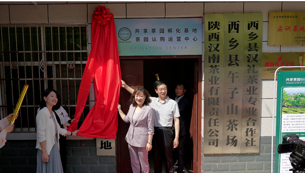 <b>让消费者成为“茶园主人”    共享茶园落地汉中市西乡县</b>