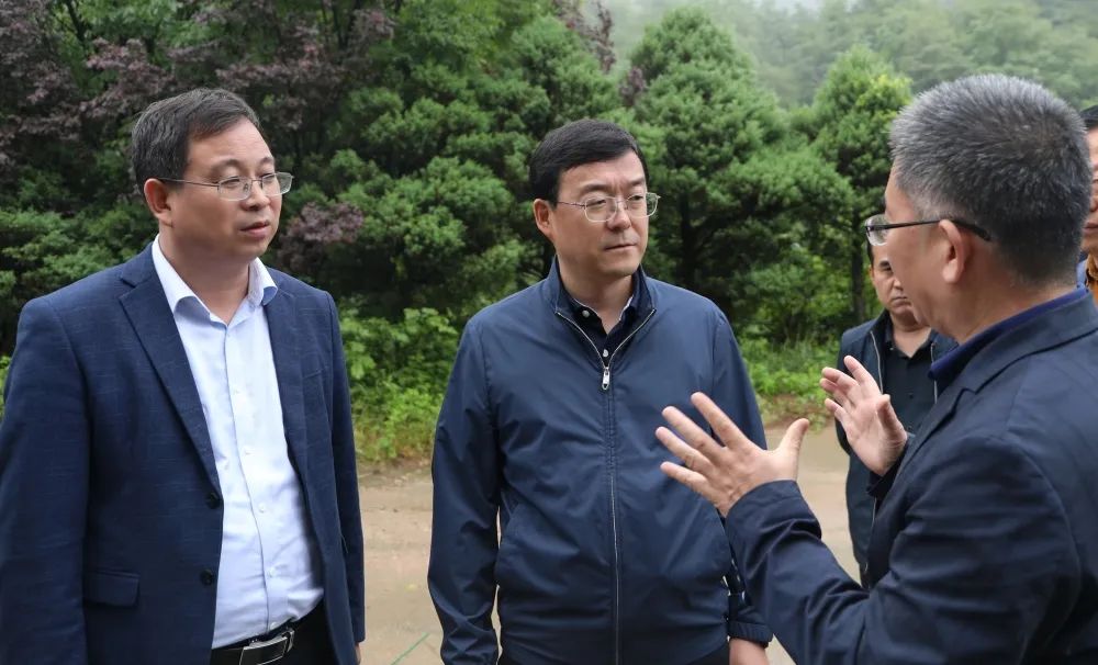<b>宝鸡市委副书记、渭滨区委书记段小龙调研渭滨区秦岭生态环境保护工作</b>