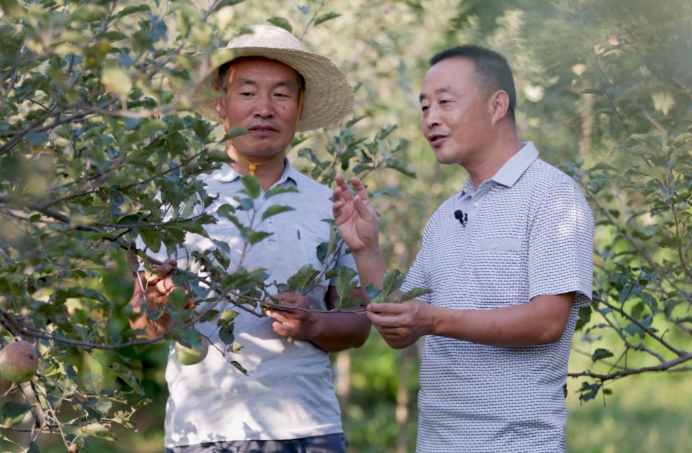<b>铜川市印台区：远教“小平台” 发挥“大作用”</b>