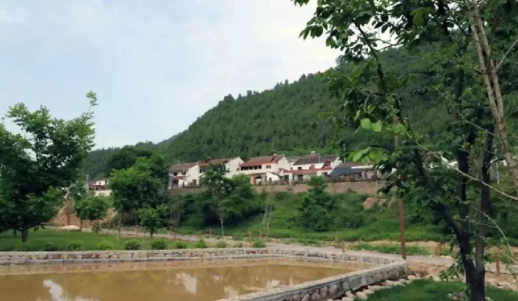 宝鸡市渭滨区：厚植资源优势 打造农文旅融合的乡村发展模式