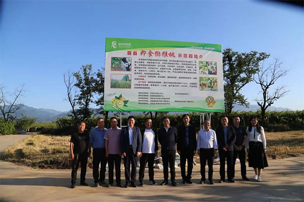 陕西省猕猴桃贮藏暨“即食”技术试验推广项目座谈会在宝鸡市眉县召开