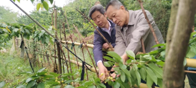宝鸡市渭滨区：“三快三解”坚决守住因灾防返贫监测帮扶底线