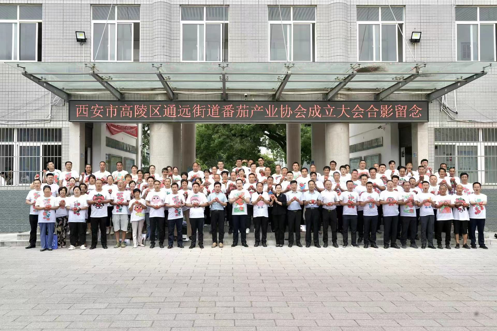 <b>西安市高陵区通远街道番茄产业协会揭牌成立啦！</b>