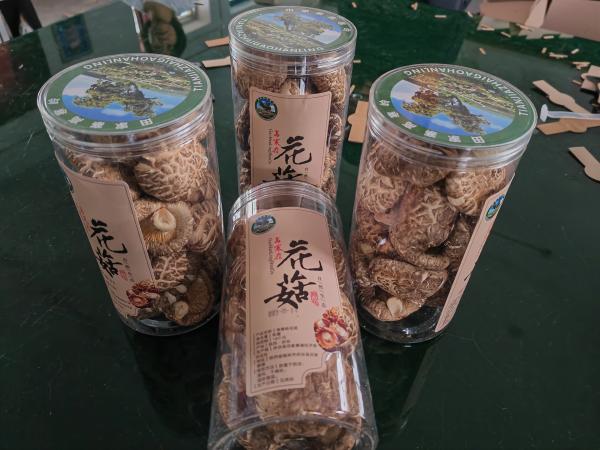 <b>变废为宝！府谷县10万废弃花菇菌棒 资源化利用变有机肥</b>