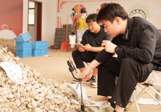 <b>三秦故事 | 大学生回乡打起“金蒜盘”</b>