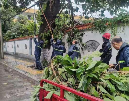 <b>金台区城管执法局：闻“雨”而动  干部职工到达一线“清场”保畅通</b>