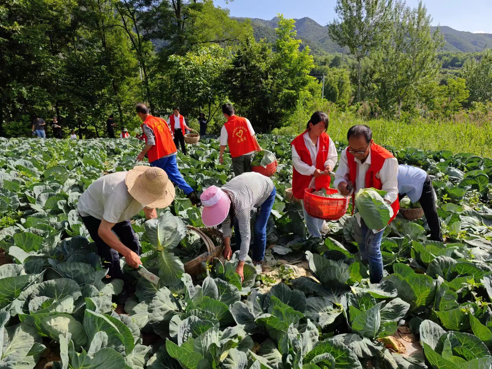 <b>宝鸡市凤县：“四个聚焦”推动两新组织助力乡村振兴</b>