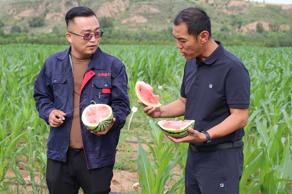 <b>神木市瓜果飘香迎丰收  农户增收笑开颜</b>