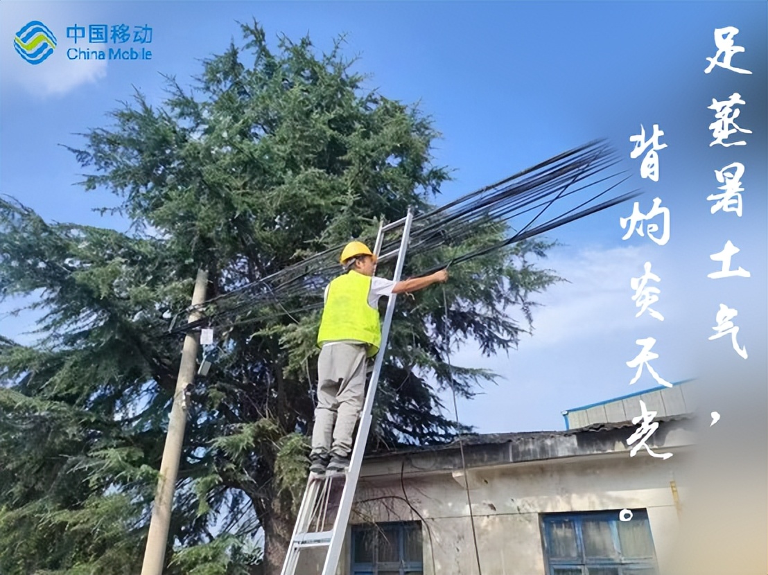 <b>诗意移动 长安常安 | 用“移动人”的视角品读诗词韵味</b>