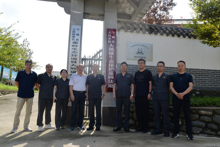 <b>汉中市宁强县法院：大熊猫生态保护巡回法庭挂牌成立</b>