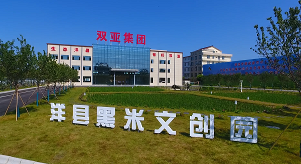 <b>汉中市洋县项目建设助推高质量发展“主引擎”</b>