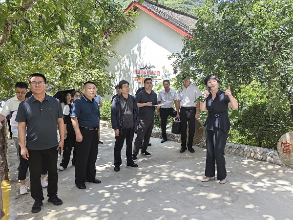 <b>商洛市镇安县：抓项目优环境转作风 推进经济社会高质量发展</b>