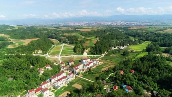 <b>汉中市洋县3万亩高标准农田项目竣工，惠及21个村</b>