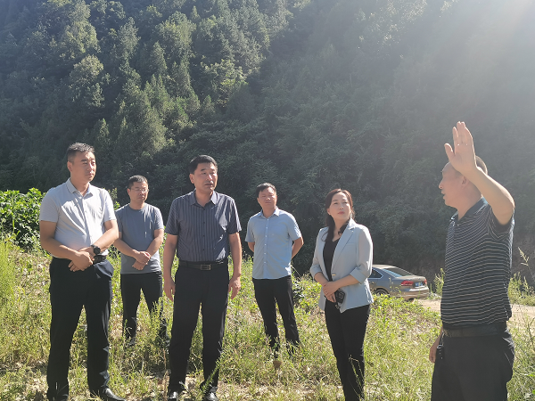 <b>商洛市退役军人事务局深入土桥村调研乡村振兴和驻村帮扶工作</b>