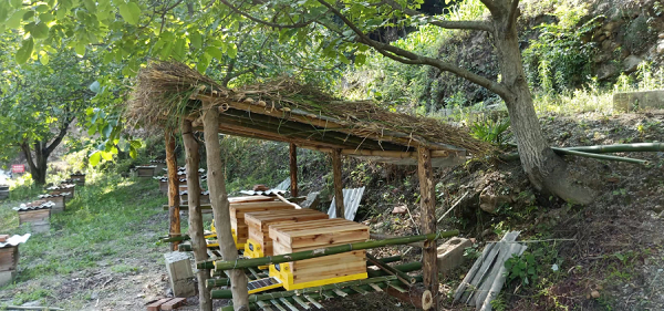 <b>汉中市佛坪县：智慧养蜂助力乡村产业振兴</b>