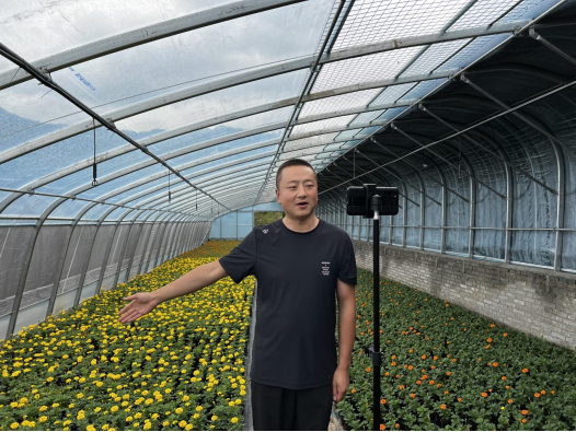 <b>宝鸡市凤县：驻村干部干上“新农活”</b>