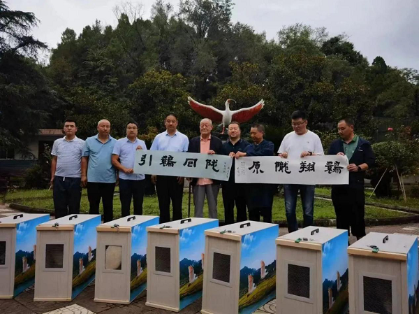 <b>汉中市洋县20只朱鹮迁居甘肃</b>