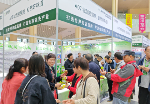 <b>汉中市城固县：猕猴桃再添“金色名片”</b>