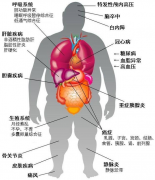 科普小知识——健康饮食常识