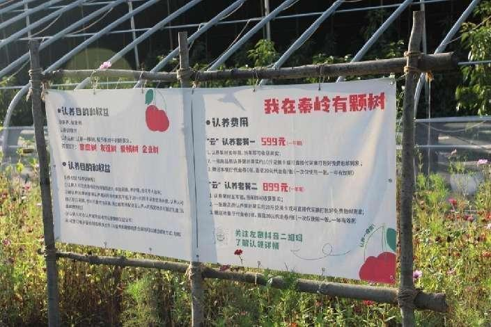 焕新“农家院” 宝鸡市渭滨区推动乡村文旅融合发展