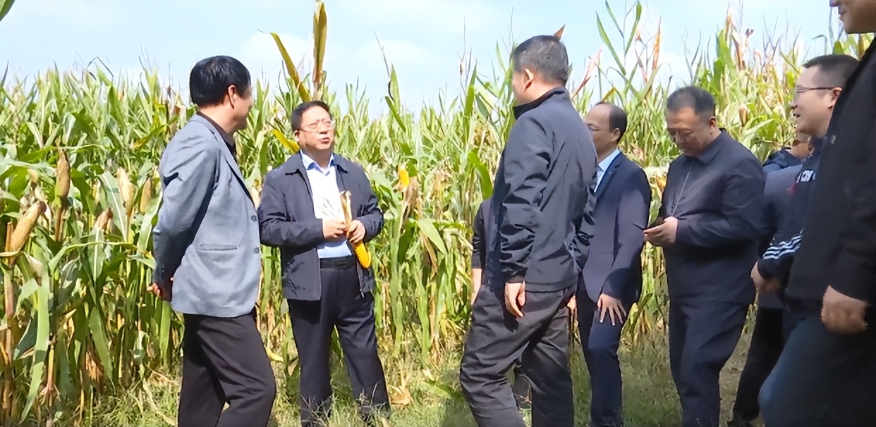 <b>高陵区区长邹晓刚带队检查“三秋”工作</b>