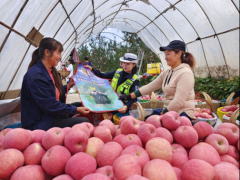 <b>心系果农送“苹”安！宝鸡凤县交警送安全教育至果农身边</b>