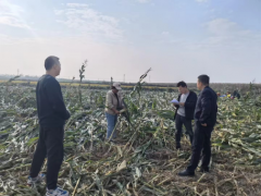 <b>宝鸡金台区蟠龙镇：田间地头摆“讲堂” 算好居民“参保账”</b>