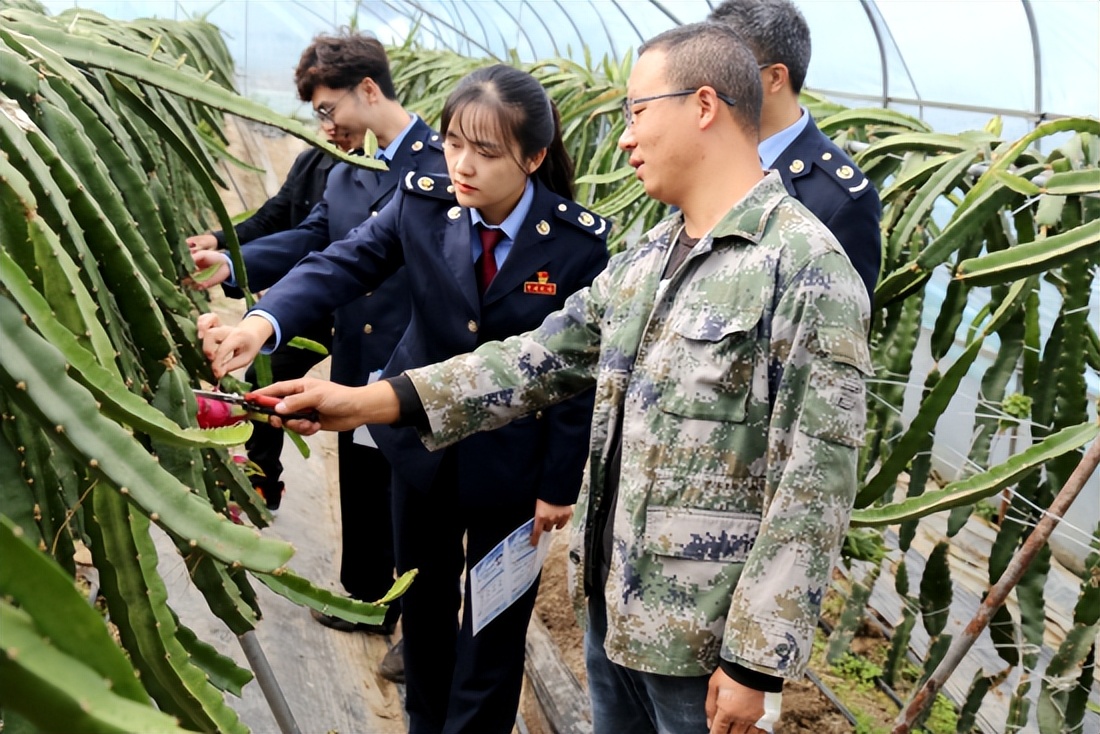 <b>汉中市略阳县税惠添力 山城略阳“果”销四方</b>