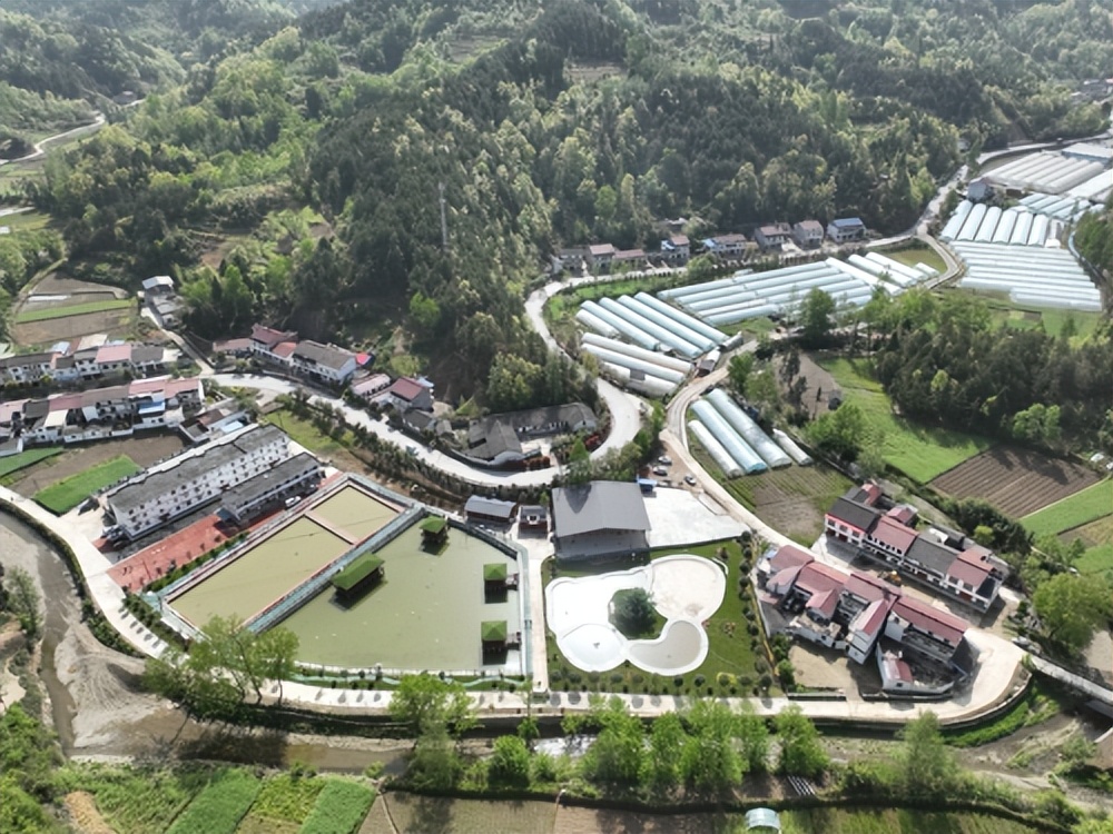 <b>汉中市宁强县“四增两减”拓大道 赋能乡村振兴</b>