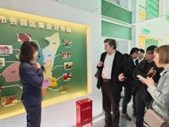 <b>深度参与共建“一带一路”，渭南市优质农产品“走出去”</b>