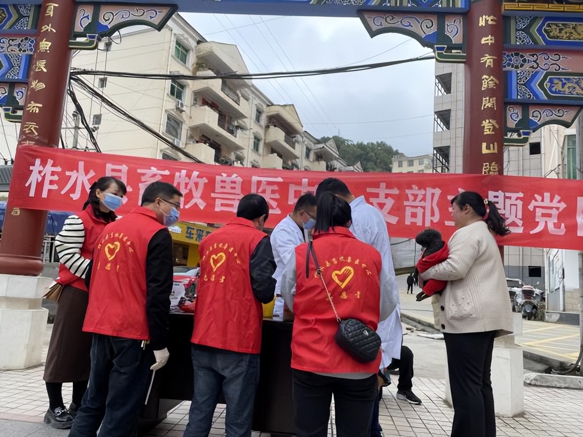 <b>商洛市柞水县开展狂犬病等人兽共患病防控知识宣传</b>