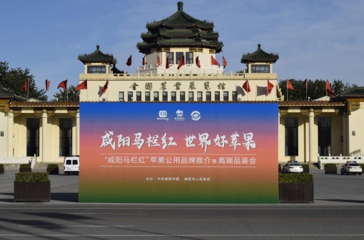 <b>咸阳万枚苹果进京城社区 促进西部果业强市建设</b>
